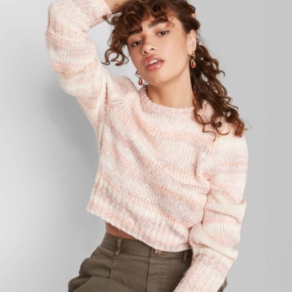 Wild Fable Crop Sweater